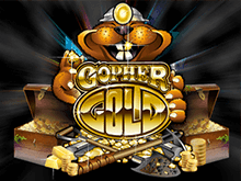 https://slotv.shop/wp-content/uploads/2019/05/gopher-gold_2026-150x150.png